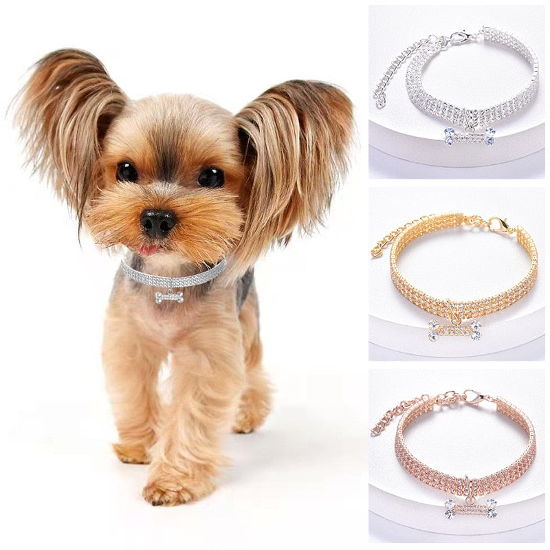 Colar ajustável de cachorro, gato com diamante de zircão pingente de osso